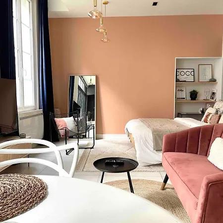 De Luxe Dans Un Ancien Particulier Apartment